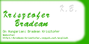 krisztofer bradean business card